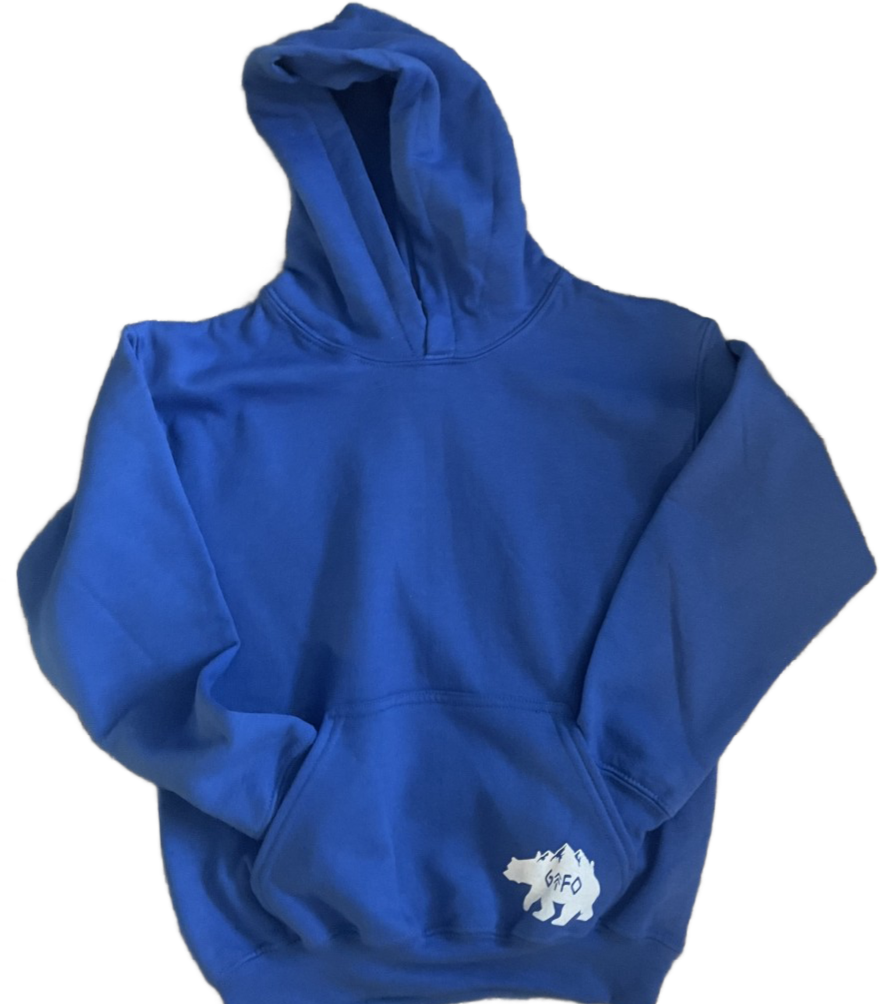 youth hoodie, youth blue hoodie, hoodie with bear, gtfoutside. kids. gtfo.