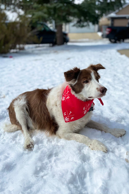 red dog bandanna. gtf outside. gtfo